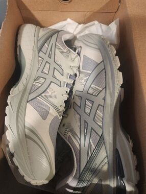 Asics Gel Terrian Seal Gray and Silver Trail Running Shoes